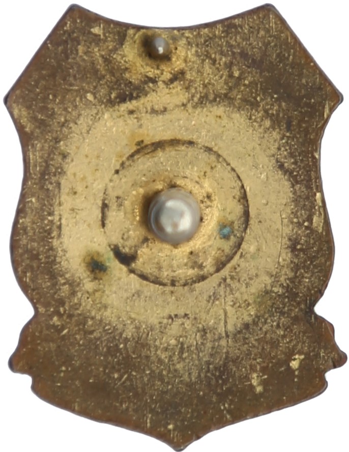 Type 1